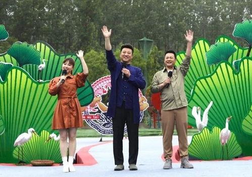 大佛最新爆料新闻视频下载,揭秘视频背后的惊人真相